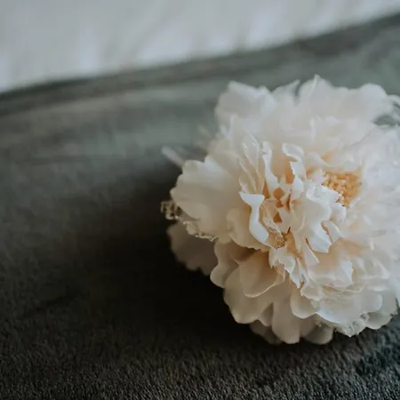 فندق Il Castello Di