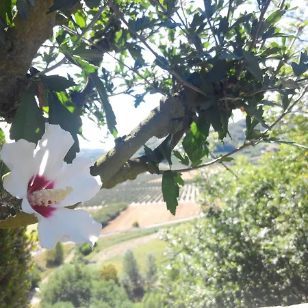 Szálloda Il Castello Di